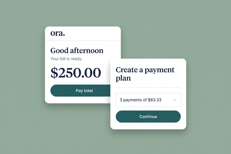 The Ora app bill payment screen showing a payment plan option